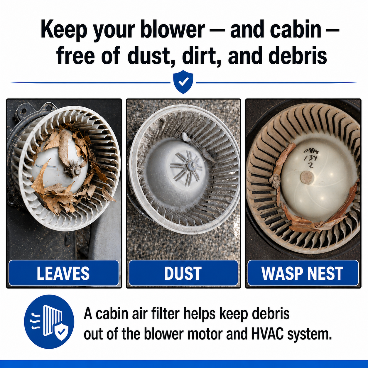 HVAC blower contaminated by dust and debris.